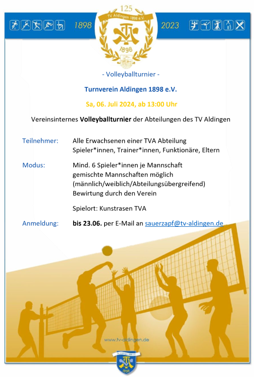 TVA Flyer Volleyball
